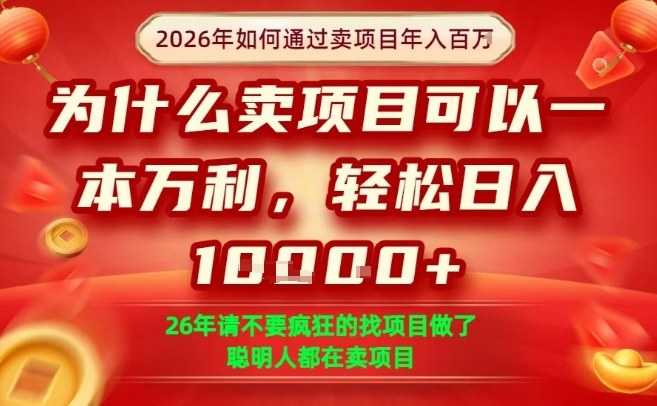 一单净利润1K+,26年想年入100个W,死磕卖项目就够了【揭秘】-董叔项目网