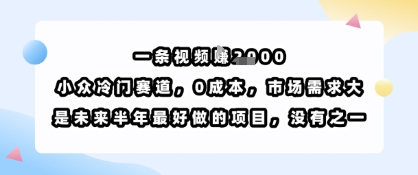 一条视频挣1k,小众冷门赛道,0成本,市场需求大,是未来半年最好做的项目,没有之一-董叔项目网