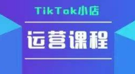 TikTok小店运营实操课，TK​小店运营实操+疑难答疑-董叔项目网