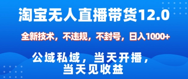 淘宝无人直播12.0，公域私域技术，不封号，不违规布局双十一流量风口，日入1k(独家技术)【揭秘】-董叔项目网