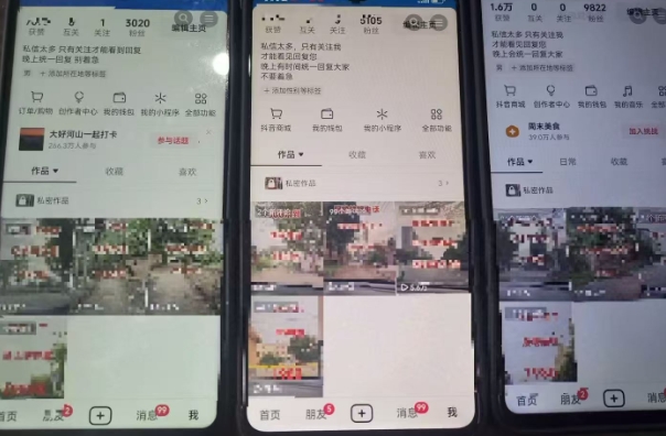 最新抖音起号涨粉技术，亲测2天千粉，不花一分钱，全流程拆解-董叔项目网