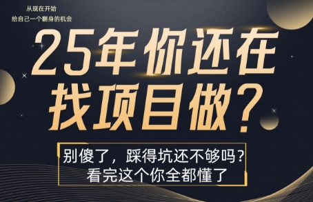 25年，你还在疯狂的找项目吗？别傻了，看完这个你都懂了【揭秘】-董叔项目网