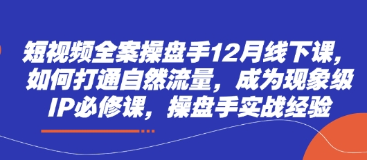 短视频全案操盘手12月线下课，如何打通自然流量，成为现象级IP必修课，操盘手实战经验-董叔项目网