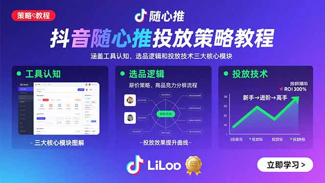 抖音随心推投放策略教程:涵盖工具认知、选品逻辑和投放技术三大核心模块-董叔项目网