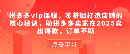 拼多多vip课程,零基础打造店铺的核心秘诀,助拼多多卖家在2025卖出爆款,订单不断-董叔项目网