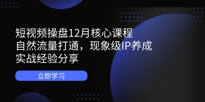 短视频操盘12月核心课程：自然流量打通，现象级IP养成，实战经验分享-董叔项目网