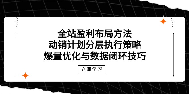 全站盈利布局方法:动销计划分层执行策略,爆量优化与数据闭环技巧-董叔项目网