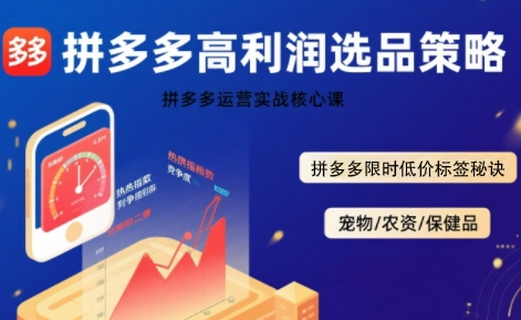 拼多多选品暴利技术实战课,拼多多高利润选品策略,拼多多限时低价标签秘诀-董叔项目网