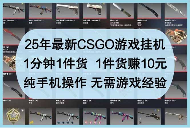 25年最新CSGO游戏挂机，1分钟1件货，1件货赚10元 纯手机操作 无需游戏经验-董叔项目网