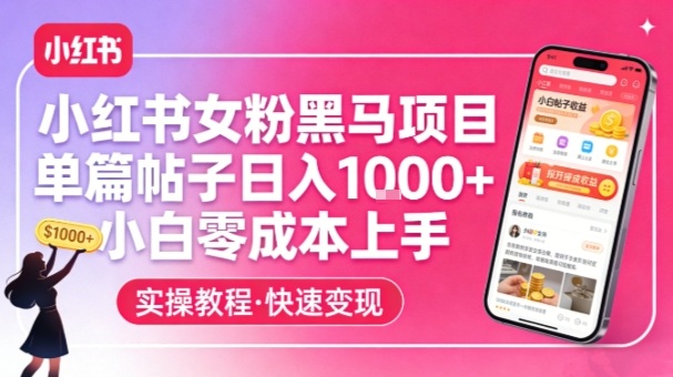 小红书女粉黑马项目，单篇帖子日入1k+，小白零成本上手-董叔项目网