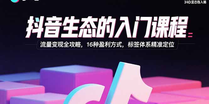 抖音生态的入门课程：流量变现全攻略，16种盈利方式，标签体系精准定位-董叔项目网