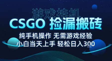 8月最新游戏搬砖,CSGO纯挂G,不需要玩游戏,实现真挂G,月入1W+【揭秘】-董叔项目网