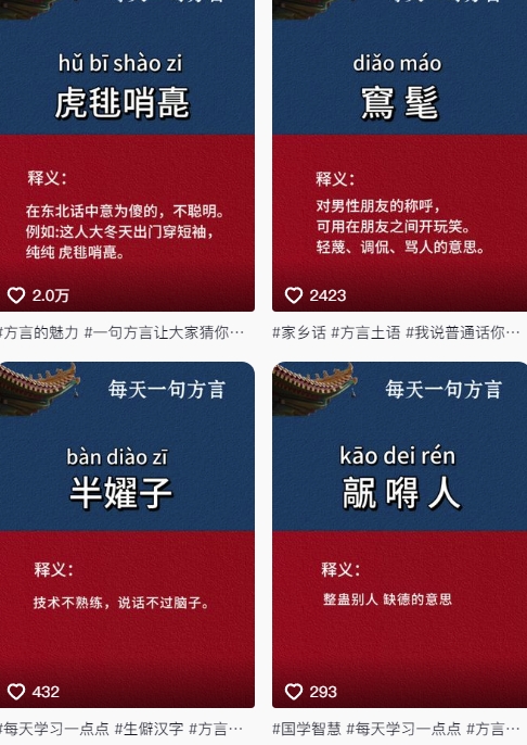 抖音最新涨粉玩法，图文方言暴力涨粉实操，126作品涨粉11W-董叔项目网