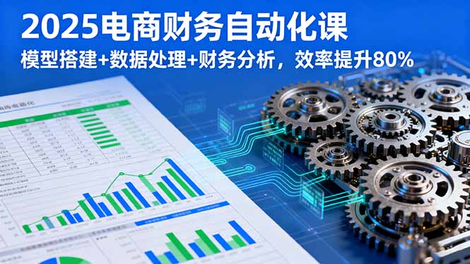 2025电商财务自动化课，模型搭建+数据处理+财务分析，效率提升80%-董叔项目网