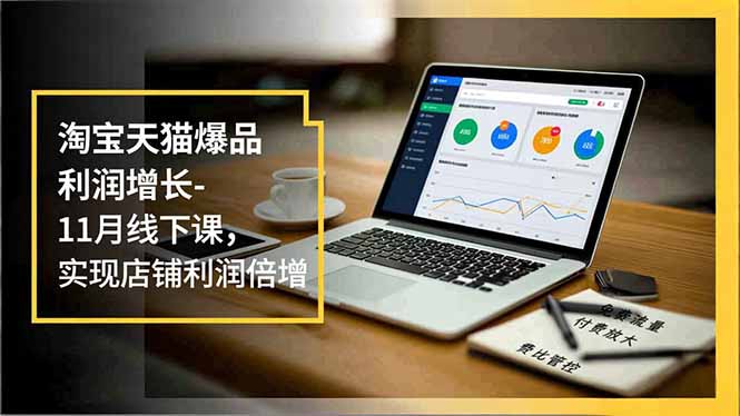 淘宝天猫爆品利润增长-11月线下课,免费流量、付费放大、费比管控,实现店铺利润倍增-董叔项目网