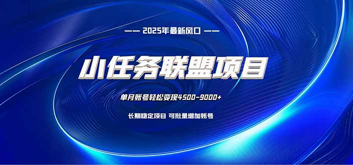 小任务联盟项目：一台电脑每天只需10分钟，轻松简单稳定-董叔项目网