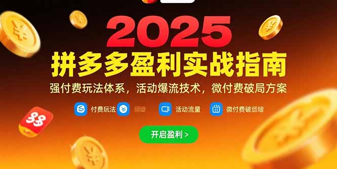 拼多多盈利实战指南，强付费玩法，活动爆流技术，微付费破局方案(更新7月-董叔项目网