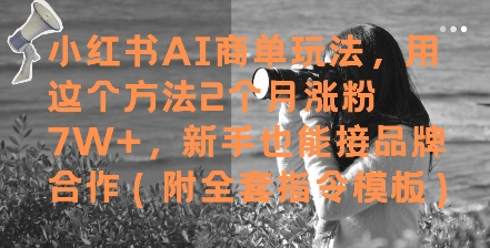 小红书AI商单玩法，用这个方法2个月涨粉7W+，新手也能接品牌合作(附全套指令模板)-董叔项目网