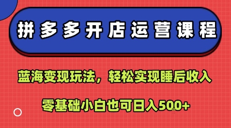 拼多多开店运营课程：蓝海变现玩法，轻松实现睡后收入，零基础小白也可日入5张-董叔项目网