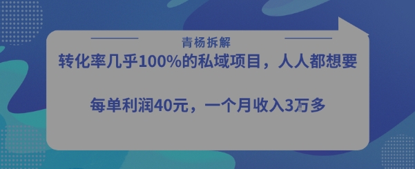 转化率最高的私域项目，每单利润40-50米，月入过1w-董叔项目网