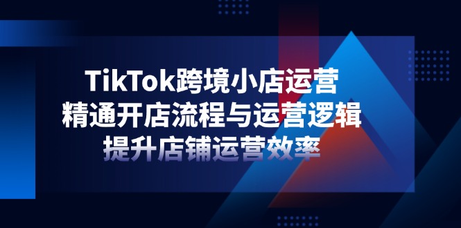 TikTok跨境小店运营，精通开店流程与运营逻辑，提升店铺运营效率-董叔项目网