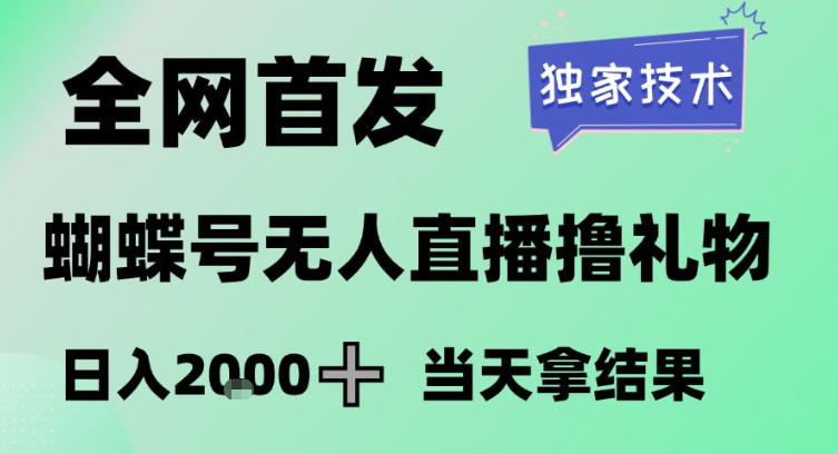 2026最新蝴蝶号无人直播掘金，独家技术，全网首发小白做了一个月收益3W，长期稳定可做【揭秘】-董叔项目网