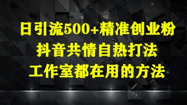 日引流500+精准创业粉,抖音共情自热打法,工作室都在用的方法-董叔项目网