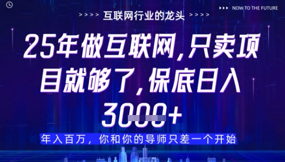 什么!25年你还在找项目做?风口早就变了,卖项目才是稳挣不赔【揭秘】-董叔项目网
