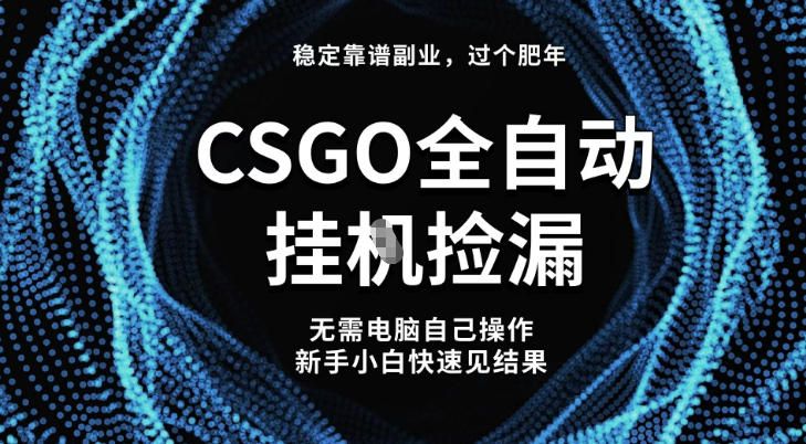 【稳定副业】全球最热门游戏CSGO全自动捡漏,最新玩法,新手小白日入5张+【揭秘】-董叔项目网