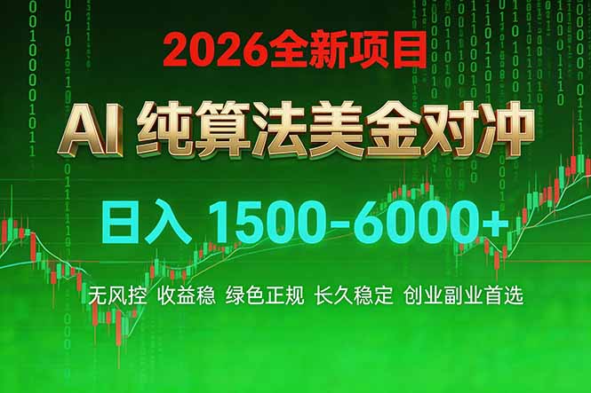2026 全新美金对冲项目，不套平台赠金，不封号，纯算法对冲，日入 1500-6000+-董叔项目网