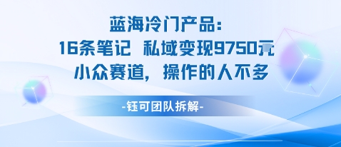 蓝海项目:16条笔记私域变现9750米小众赛道操作的人不多-董叔项目网