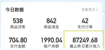 2026新手也能操作的带货玩法，用这个方法零门槛，轻松月入10000+-董叔项目网