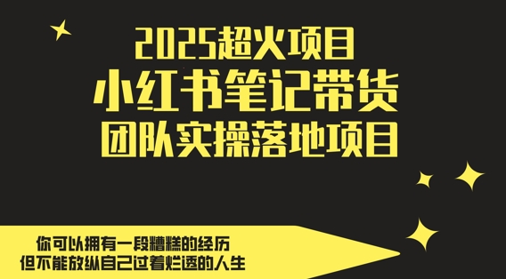 2025超火项目,副业最佳选择,小红书笔记带货团队实操落地项目,,轻松日入5张-董叔项目网