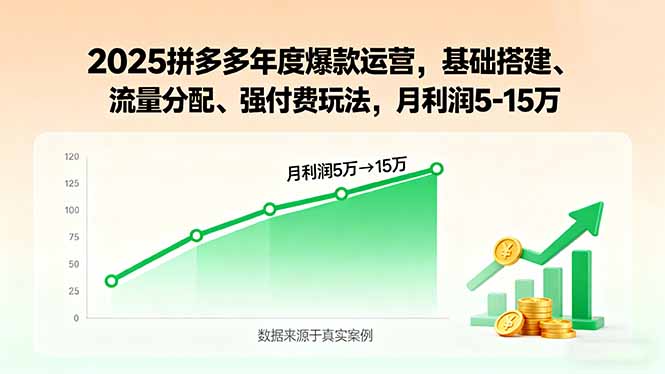 2025拼多多年度爆款运营，基础搭建、流量分配、强付费玩法，月利润5-15万-董叔项目网