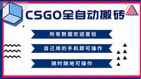 CSGO全自动搬砖，年底钱回家好项目，当天可拿到结果，新手小白轻松月入1W+【揭秘】-董叔项目网