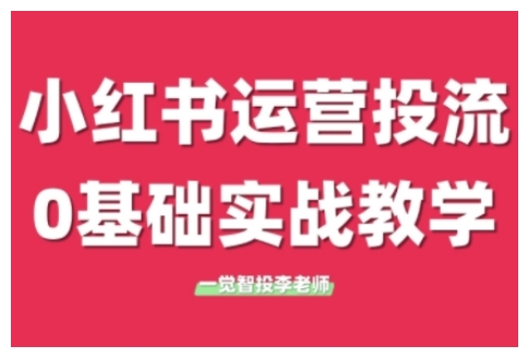 小红书运营投流，小红书广告投放从0到1的实战课，学完即可开始投放(更新26年)-董叔项目网