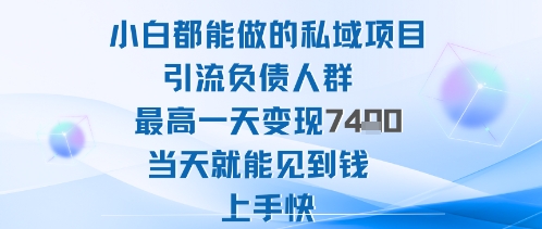 2025年小白都能做的私域项目引流负债人群最高一天变现1k+高变现难度低当天就能见到钱上手快-董叔项目网