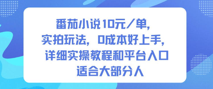 番茄小说10米每单，实拍玩法，0成本好上手，详细实操教程和平台入口适合大部分人-董叔项目网