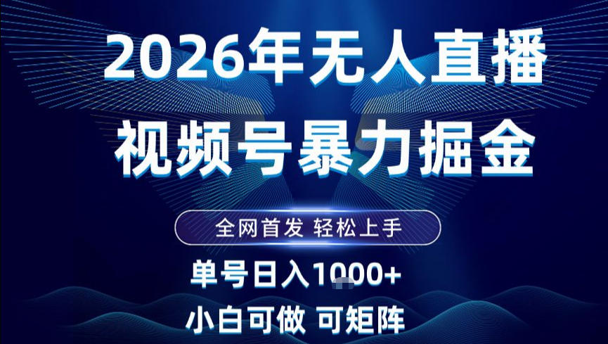 2026最新视频号无人直播掘金，全网首发，小白可以玩，长期稳定日入1k+【揭秘】-董叔项目网