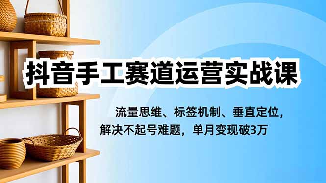 抖音手工赛道运营实战课，流量思维、标签机制、垂直定位，解决不起号难题，单月变现破3万-董叔项目网