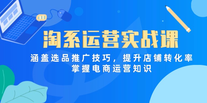 淘系运营实战课，涵盖选品推广技巧，提升店铺转化率，掌握电商运营知识-董叔项目网