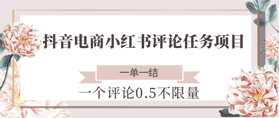 抖音电商小红书评论任务项目，一个评论0.5，一单一结 不限量-董叔项目网