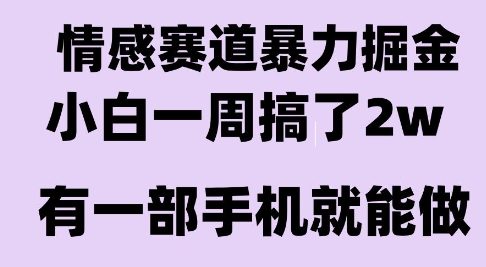 情感暴力掘金项目，新人操作一周挣了2W，长期稳定小白可做【揭秘】-董叔项目网