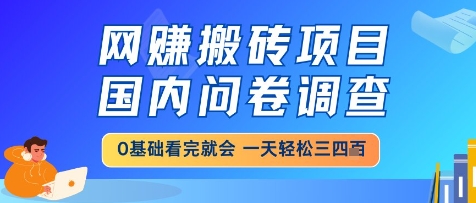 网创搬砖项目，国内问卷调查，小白轻松上手，一天三四张的也不难，干就完了【揭秘】-董叔项目网