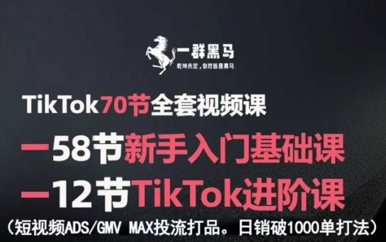 TikTok全套视频课，新手入门+进阶课，短视频ADS-GMV MAX投流打品，日销破1000单打法-董叔项目网