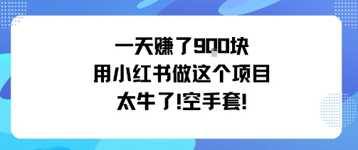 一天挣了9张用小红书做这个项目太牛了，空手套-董叔项目网