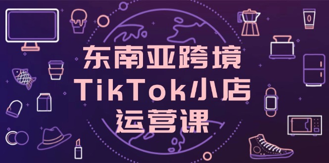 东南亚跨境TikTok小店运营课,掌握店铺设置与流量转化核心技巧-董叔项目网