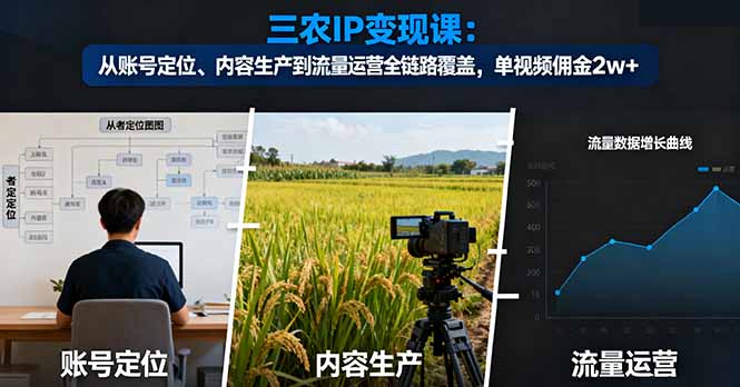 三农IP变现课：从账号定位、内容生产到流量运营全链路覆盖，单视频佣金2w+-董叔项目网