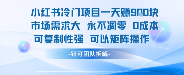 小红书冷门项目一天收益9张，市场需求大，0成本，可复制性强可以矩阵操作-董叔项目网