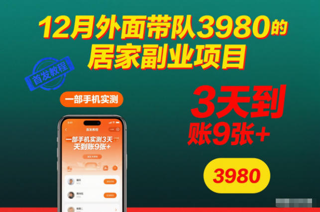 12月外面带队3980的居家副业项目,一部手机实测3天到账9张+,首发教程【揭秘】-董叔项目网